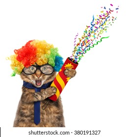 Gato engraçado vestido de palhaço e segurando um petardo.