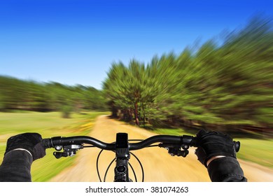 camino forestal ciclista