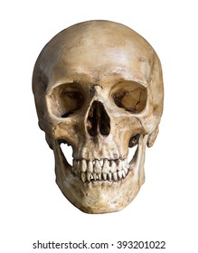 Menschlicher Schädel, isoliert auf weißem Hintergrund mit Beschneidungspfad
