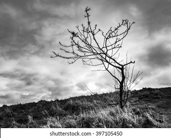 Gloomy Weather in Edinburgh, Scotland 4K wallpaper download