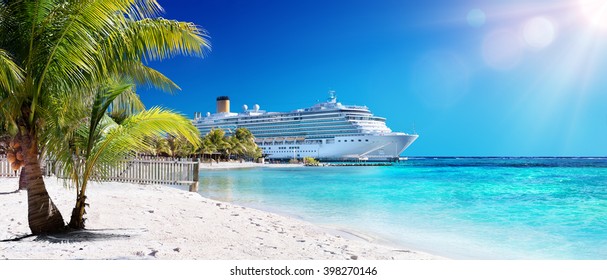 Du thuyền đến Caribbean với cây cọ trên bãi biển san hô