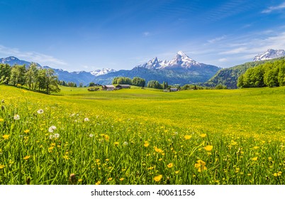 Panoramablick auf die wunderschöne Landschaft in den Alpen mit frischen grünen Wiesen und blühenden Blumen und schneebedeckten Berggipfeln im Hintergrund an einem sonnigen Tag mit blauem Himmel und Wolken im Frühling