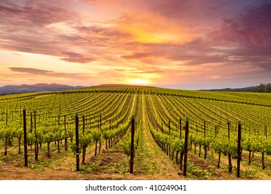 Mooie zonsonderganghemel in Napa Valley Wine Country op Spring Vineyards, Mountains.