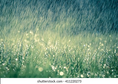 heavy rain nature