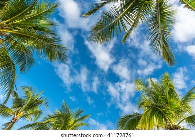 ココヤシの木とボラカイ島の自然な背景の葉、青い空と雲旅行休暇