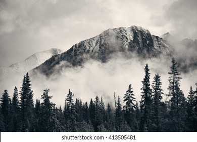 カナダのバンフ国立公園の霧の多い山と森。