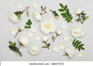 Weiße Rosenblüten und grüne Blätter auf hellgrauem Hintergrund von oben, schönes Blumenmuster, Vintage-Farbe, flaches Lay-Styling