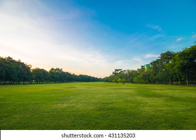 Green beautiful park and blue sky in evening