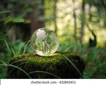 Globe in the forest. Ball on a stump with moss. Glass - a material, concepts and themes, concepts, environment, nature
