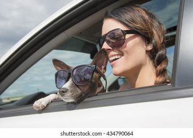 Seorang wanita dan anjing di dalam mobil dalam perjalanan musim panas.