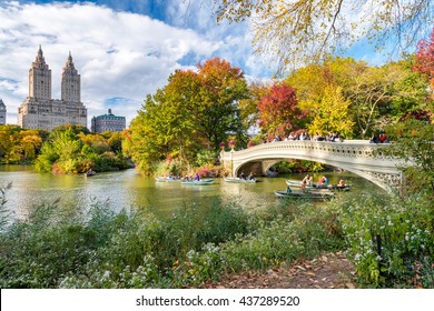 Красиві кольори листя Центрального парку Нью-Йорка.