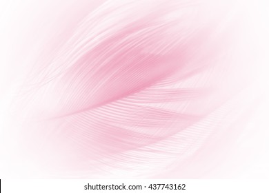 부드러운 핑크 빈티지 컬러 트렌드 닭 깃털 질감 배경