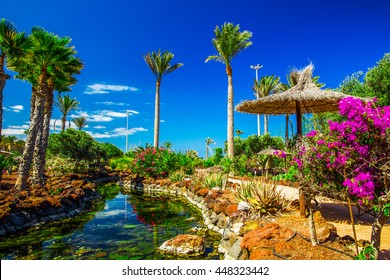 ヨーロッパ、スペイン、カナリア諸島、フエルテベントゥラ島のヤシの木、花、川のある熱帯の島のリゾート庭園の美しい景色。