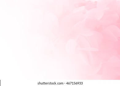 Weicher rosa Pastellhintergrund, Hochzeit, Jahrestag, Valentinsthema und -konzept
