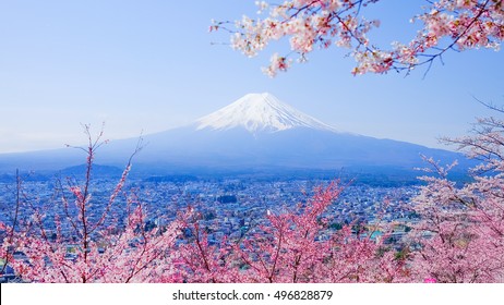 春の山富士、桜さくら、ヴィンテージ
