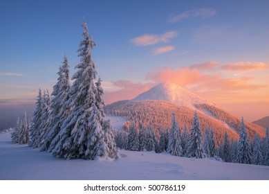 Kerstlandschap met sparren in de sneeuw. Winter in de bergen. Prachtige zonsondergang met rode wolken. Fantastisch uitzicht in het wild