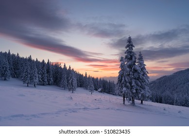 Weihnachtsansicht. Winterlandschaft mit Tannen im Schnee. Das Holzhaus in einem Bergwald. Wunderschöner fabelhafter Abend. Karpaten, Ukraine, Europa