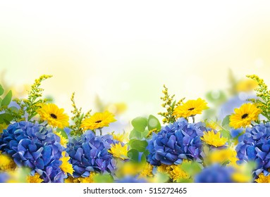 Increíble fondo con hortensias y margaritas. Flores amarillas y azules en un espacio en blanco blanco. Naturaleza de la tarjeta floral. mariposas bokeh.