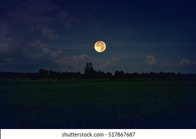 緑の田んぼに輝く満月