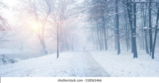 Setelah malam badai salju berkabut siluet pagi warga yang lewat berjalan hewan peliharaan mereka di bawah pohon-pohon yang tertutup salju di latar belakang taman kota yang dingin di Ukraina