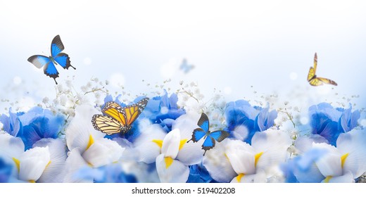 Peri kupu-kupu yang menakjubkan dari bunga, hydrangea, dan iris.
