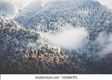 Invierno Bosque nubes Paisaje vista aérea árboles fondo Viaje paisaje sereno