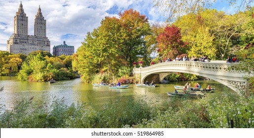 Красиві кольори листя Центрального парку Нью-Йорка.