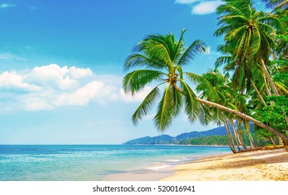 Hermosa playa. Vista de una bonita playa tropical con palmeras alrededor. Concepto de vacaciones y vacaciones. Playa tropical.