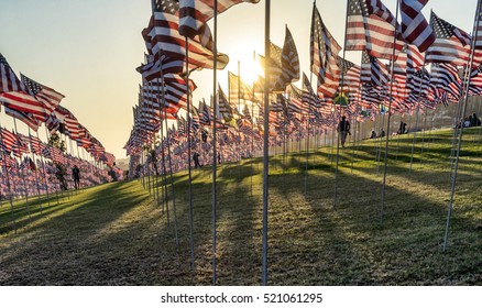 Silhouettes of people among many American USA flags on poles flying at sunset on green field.