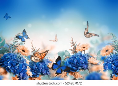Erstaunlicher Hintergrund mit Hortensien und Gänseblümchen. Gelbe und blaue Blumen auf einem weißen Leerzeichen. Blumenkarte Natur. Bokeh-Schmetterlinge.