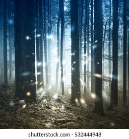 Fantastiche luci di lucciola nella magica foresta nebbiosa delle fiabe.