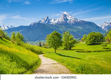Idílico paisaje de verano con senderos para caminatas en los Alpes con hermosos pastos de montaña verdes y cumbres nevadas en el fondo, Parque Nacional Berchtesgadener Land, Baviera, Alemania