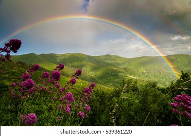 Der Regenbogen nach dem Sturm
