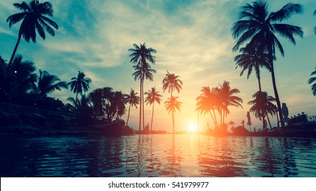 夕暮れ時にヤシの木のシルエットを持つ美しい熱帯のビーチ。