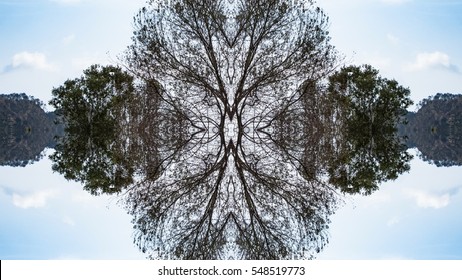 Motif abstrait d'arbres vu de dessus. Composition à plat de feuilles, mandala bohème créatif pour les réseaux sociaux, les cartes d'invitation, les blogs de mariage vintage. Image avec effet de filtre de symétrie.