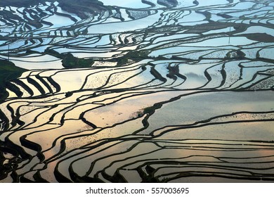 Terrasvormig padieveld (Yuanyang Hani), China, Azië.