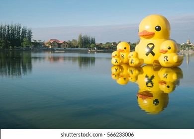 Search: B Duck Logo Vectors Free Download