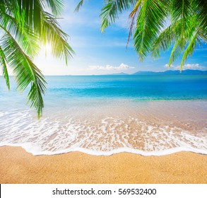 Pantai palem dan tropis