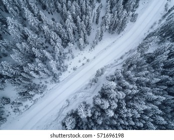 雪に覆われた森の空撮、鳥瞰図