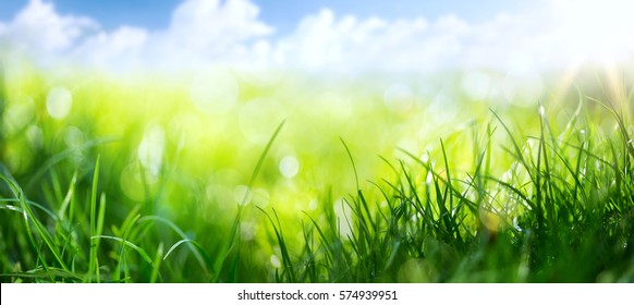 Kunst abstrakter Frühlingshintergrund oder Sommerhintergrund mit frischem Gras
