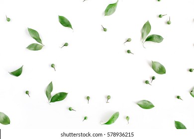 Rahmenkranz aus grünen Blättern auf weißem Hintergrund, flache Lage, Draufsicht. Blumenhintergrund.