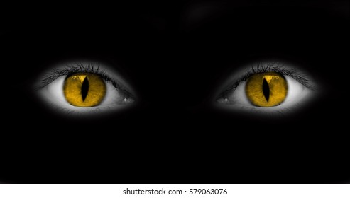 キャットウーマンの目は黒い背景で隔離