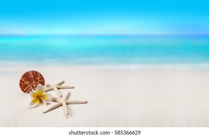 Pagoda y conchas en la playa de arena, concepto de verano