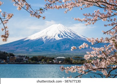日本の河口湖で桜と富士山