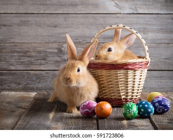Kaninchen mit Ostereiern auf Holzhintergrund