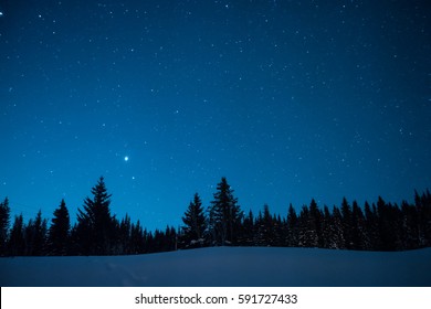 Árboles de Navidad en el fondo del cielo estrellado de invierno. salida anterior de la luna
