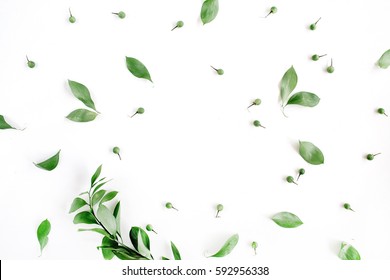 Rahmenkranz aus grünen Blättern auf weißem Hintergrund, flache Lage, Draufsicht. Blumenhintergrund