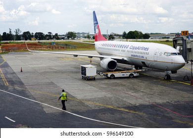 Copa Airlines logo vector  Airline logo, ? logo, Airlines branding