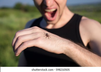 La araña muerde la mano. el hombre tiene miedo