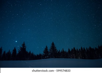 Weihnachtsbäume auf dem Hintergrund des sternenklaren Winterhimmels.